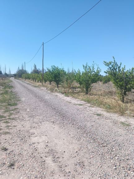 Lote en Venta en Maipu, Mendoza