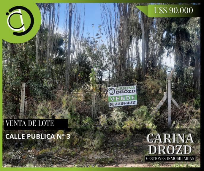 Terreno en Venta en Las Heras, Mendoza