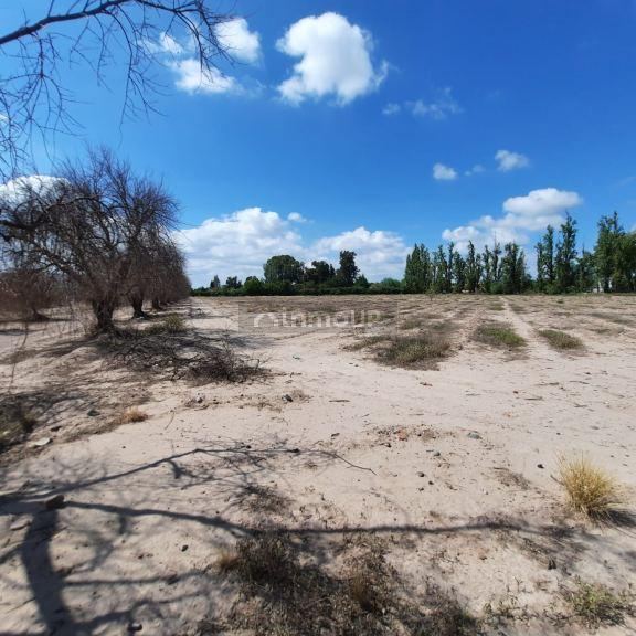 Terreno en Venta en Maipu, Mendoza