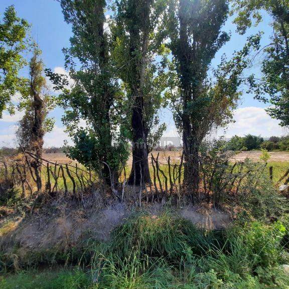 Terreno en Venta en Maipu, Mendoza