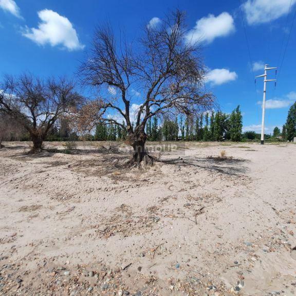 Terreno en Venta en Maipu, Mendoza
