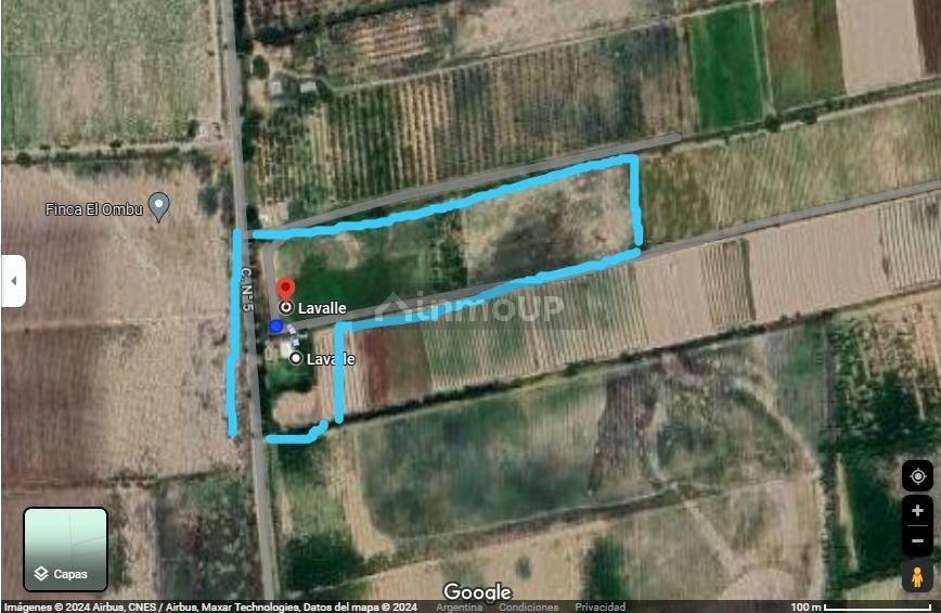 Finca en Venta en Lavalle, Mendoza