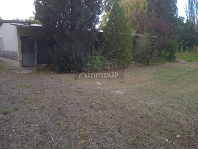 Finca en Venta en Lavalle, Mendoza