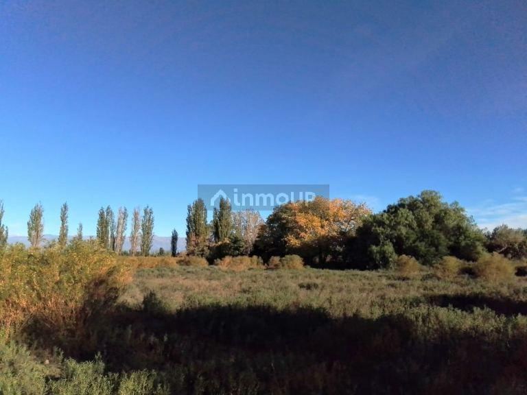 Finca en Venta en Lavalle, Mendoza