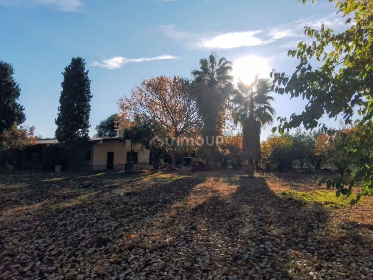 Finca en Venta en Lavalle, Mendoza