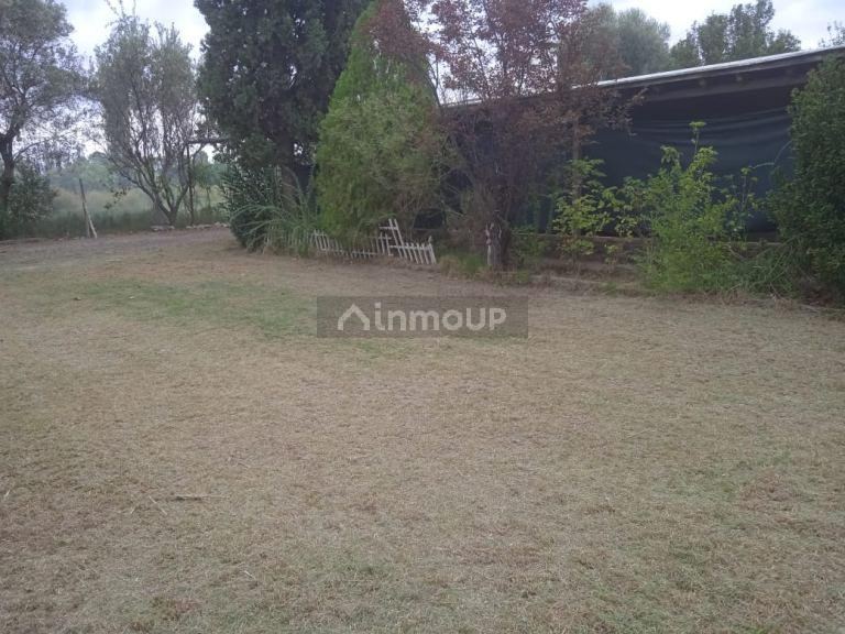 Finca en Venta en Lavalle, Mendoza