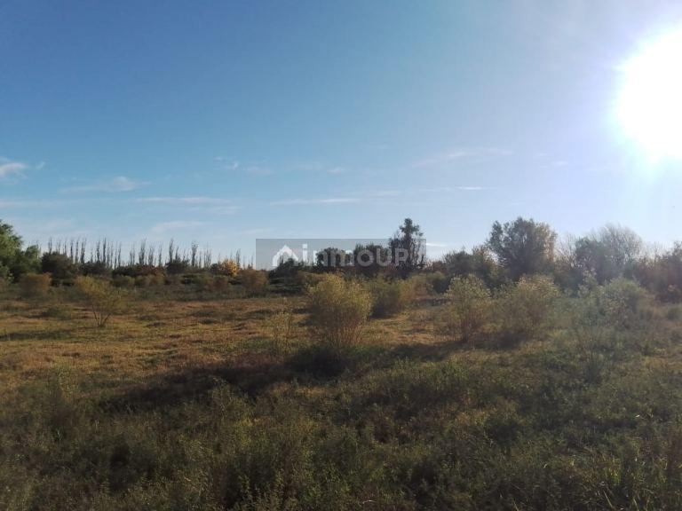 Finca en Venta en Lavalle, Mendoza