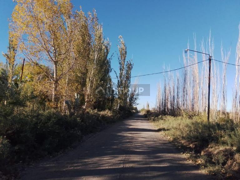 Finca en Venta en Lavalle, Mendoza