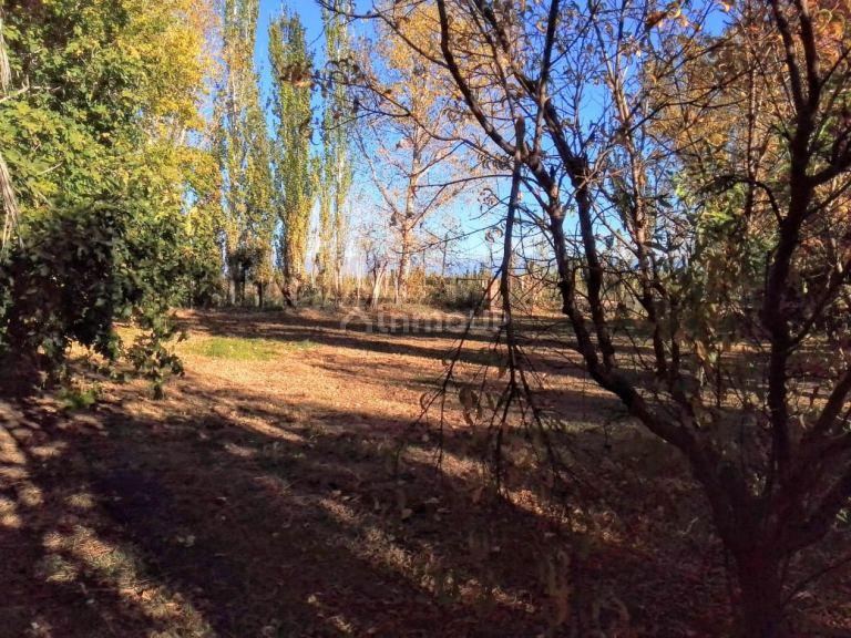 Finca en Venta en Lavalle, Mendoza