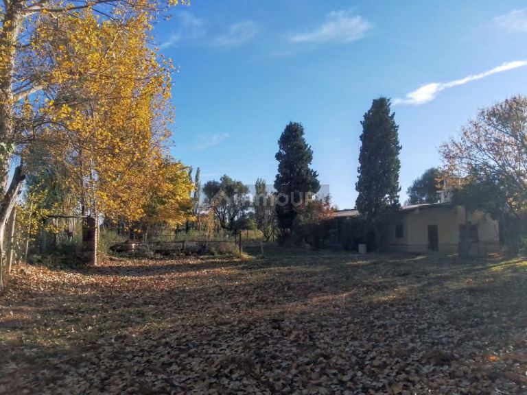 Finca en Venta en Lavalle, Mendoza