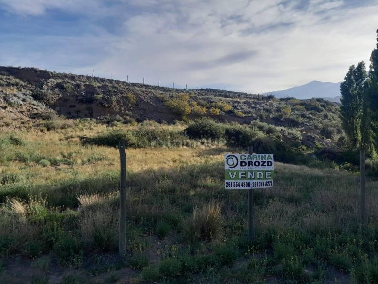 Terreno en Venta en Lujan de Cuyo, Mendoza