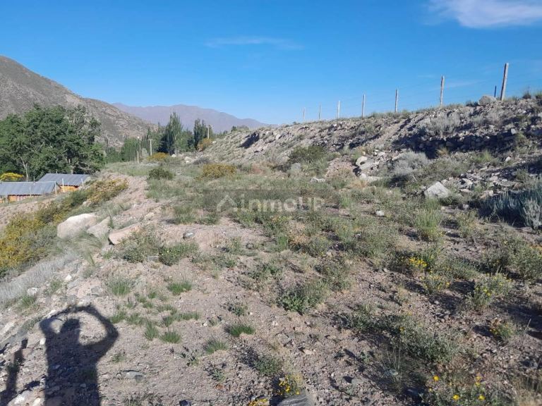 Terreno en Venta en Lujan de Cuyo, Mendoza