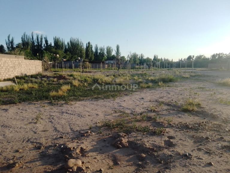 Terreno en Venta en Lujan de Cuyo, Mendoza