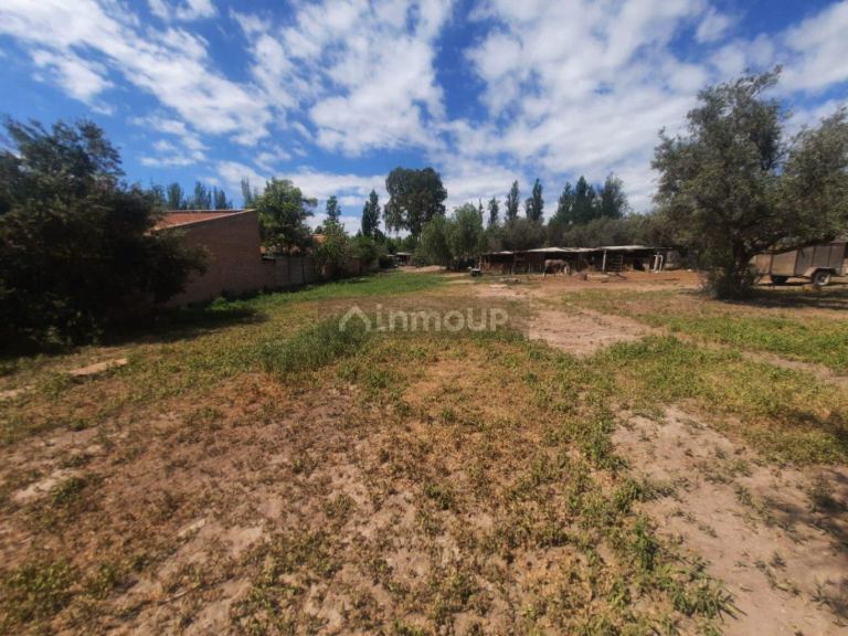Terreno en Venta en Lujan de Cuyo, Mendoza