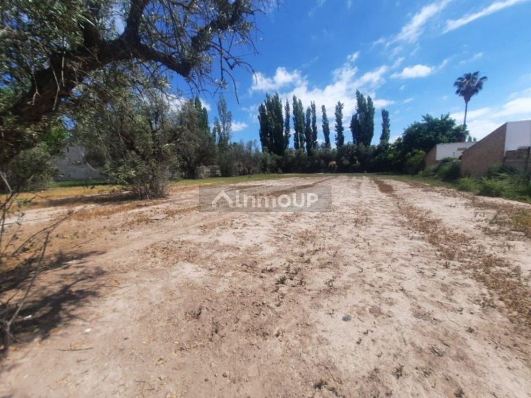 Terreno en Venta en Lujan de Cuyo, Mendoza