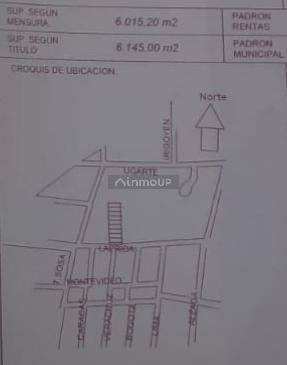 Terreno en Venta en Lujan de Cuyo, Mendoza