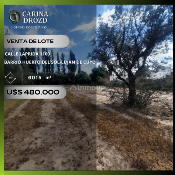 Terreno en Venta en Lujan de Cuyo, Mendoza