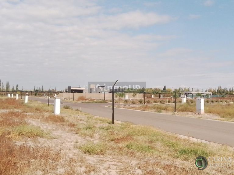 Terreno en Venta en Junin, Mendoza