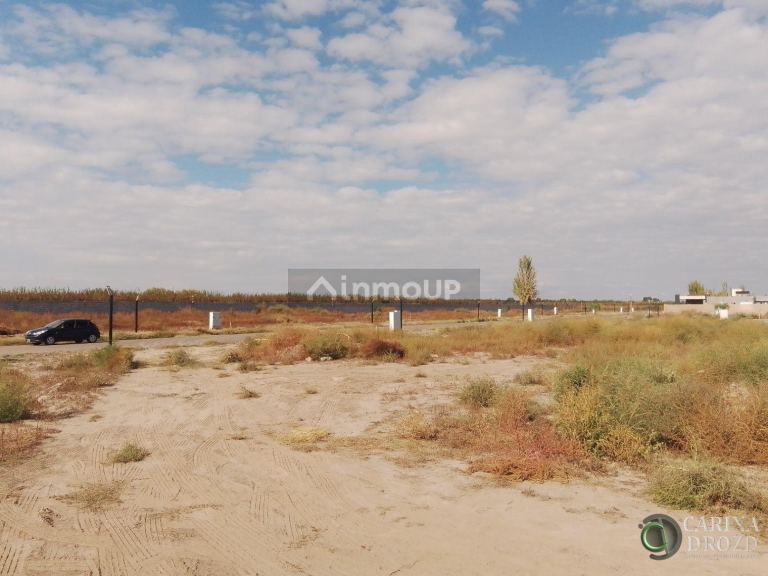 Terreno en Venta en Junin, Mendoza