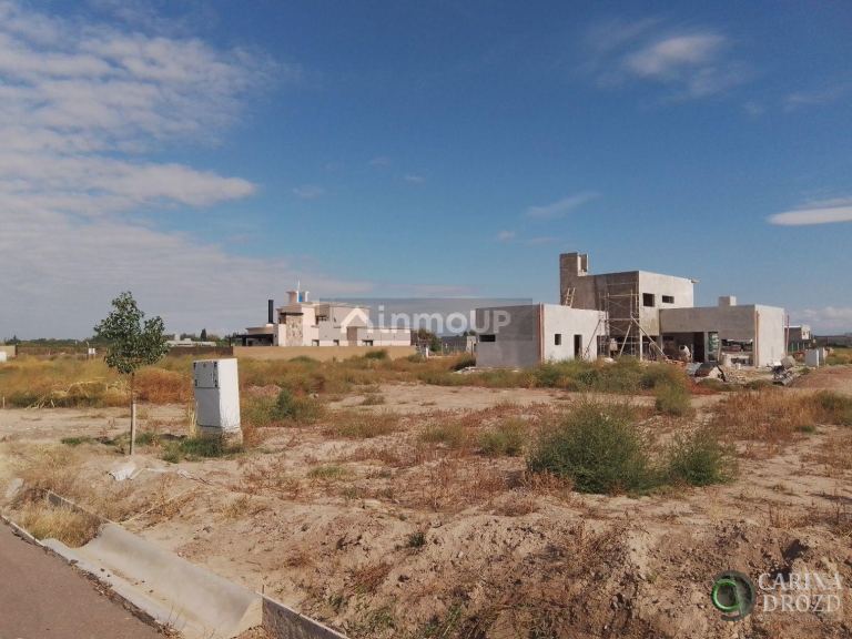 Terreno en Venta en Junin, Mendoza