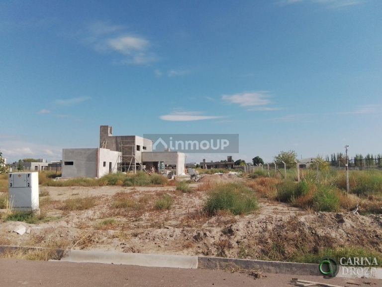 Terreno en Venta en Junin, Mendoza