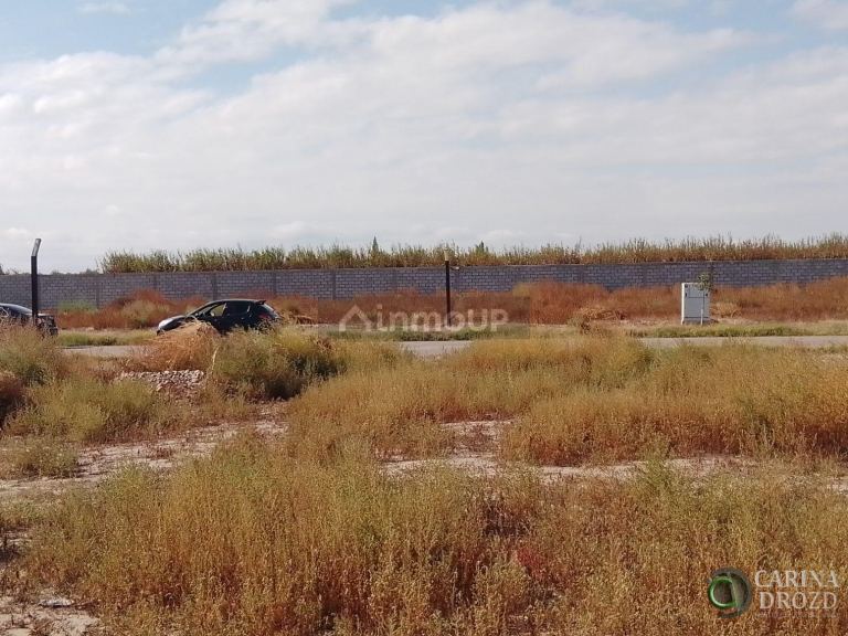 Terreno en Venta en Junin, Mendoza