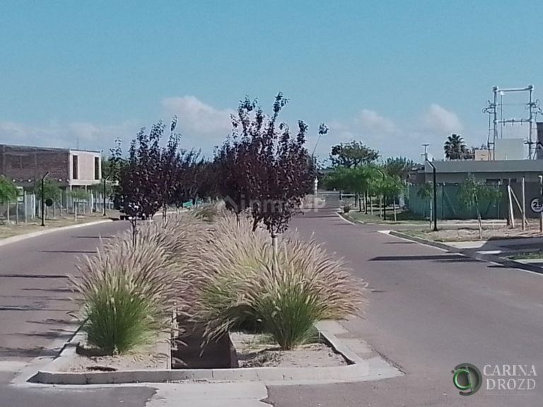Terreno en Venta en Junin, Mendoza