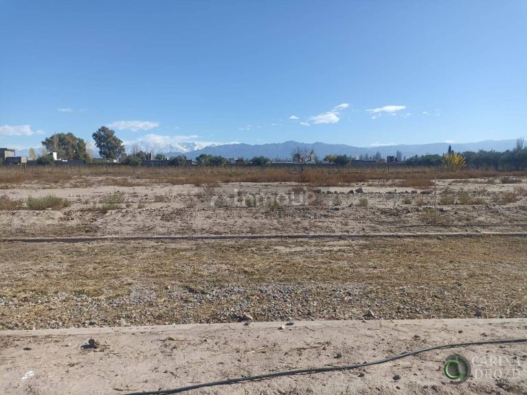 Terreno en Venta en Lujan de Cuyo, Mendoza