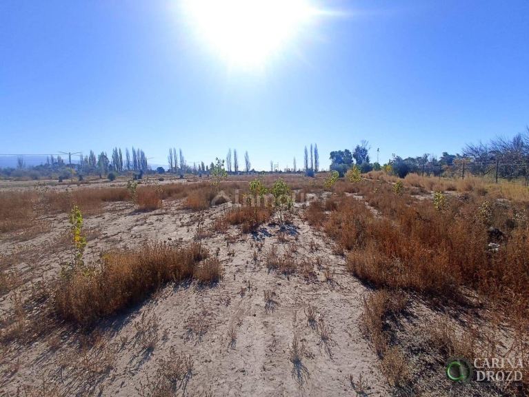Terreno en Venta en Lujan de Cuyo, Mendoza