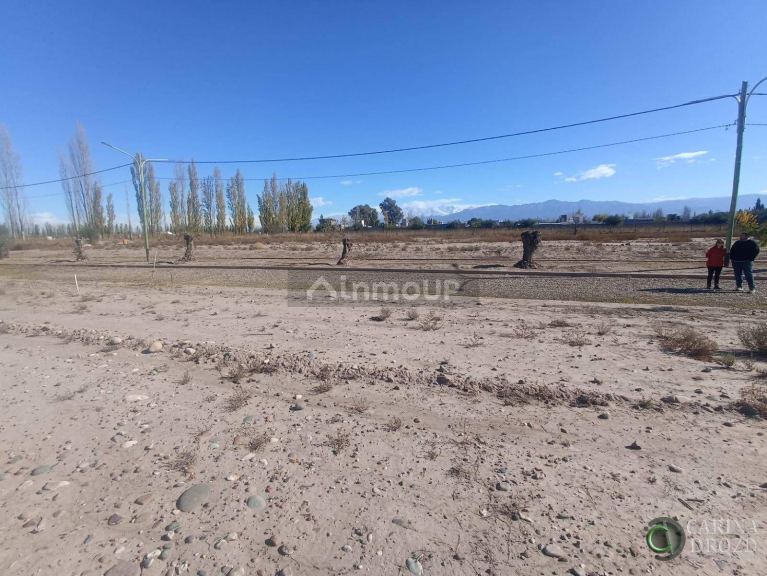 Terreno en Venta en Lujan de Cuyo, Mendoza