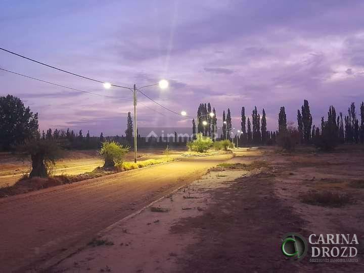 Terreno en Venta en Lujan de Cuyo, Mendoza