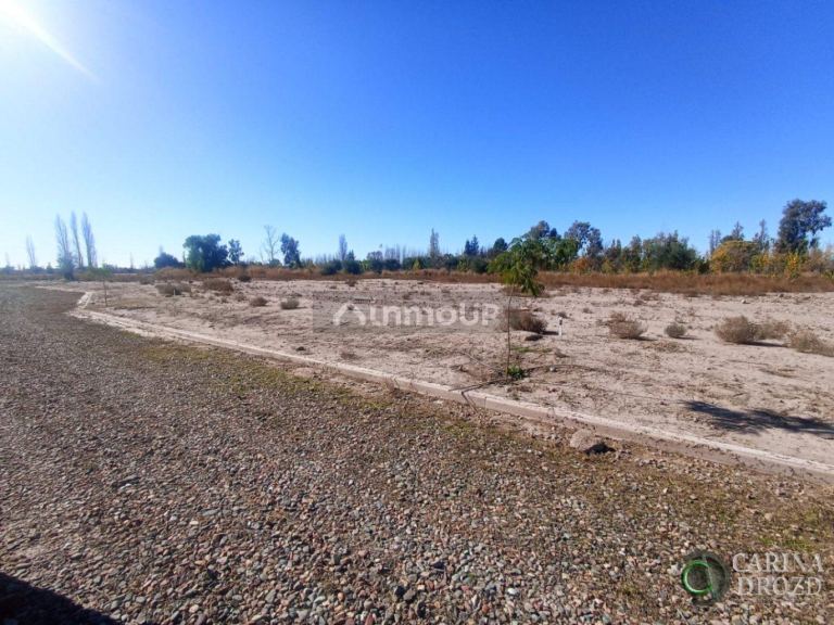 Terreno en Venta en Lujan de Cuyo, Mendoza