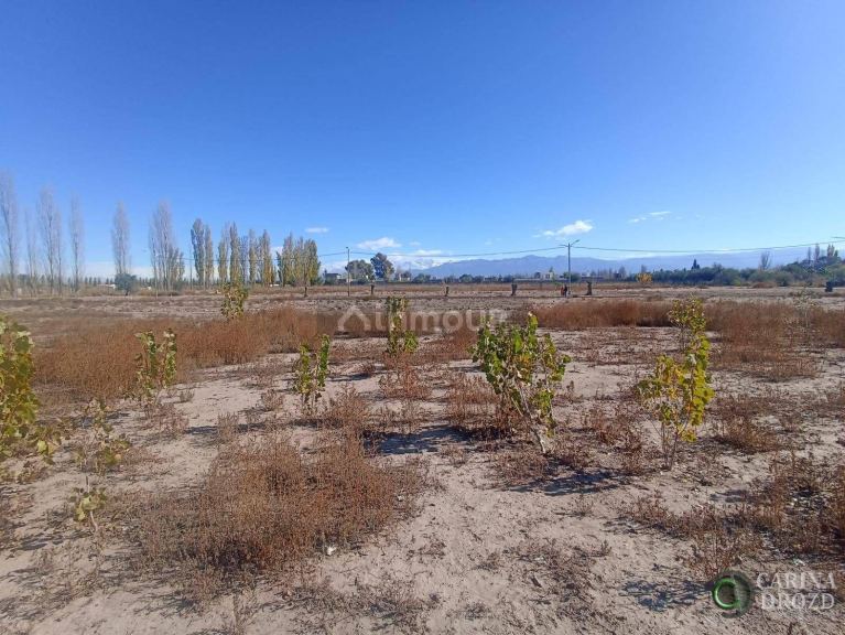 Terreno en Venta en Lujan de Cuyo, Mendoza