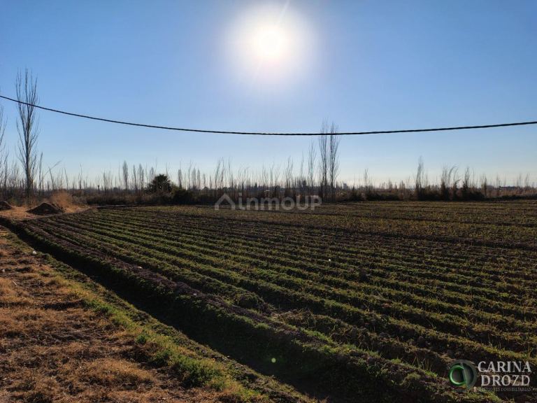 Finca en Venta en Maipu, Mendoza