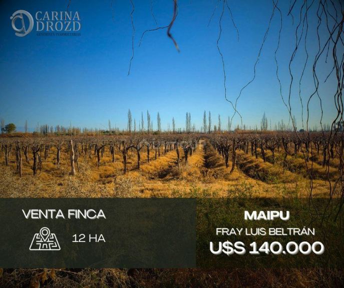 Finca en Venta en Maipu, Mendoza