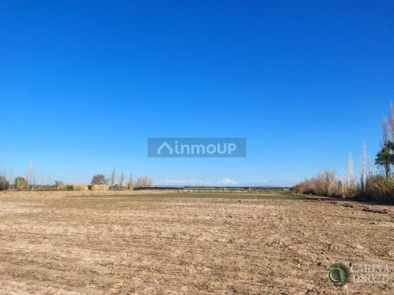 Finca en Venta en Maipu, Mendoza