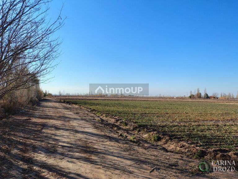Finca en Venta en Maipu, Mendoza