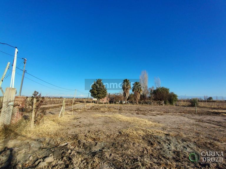 Finca en Venta en Maipu, Mendoza