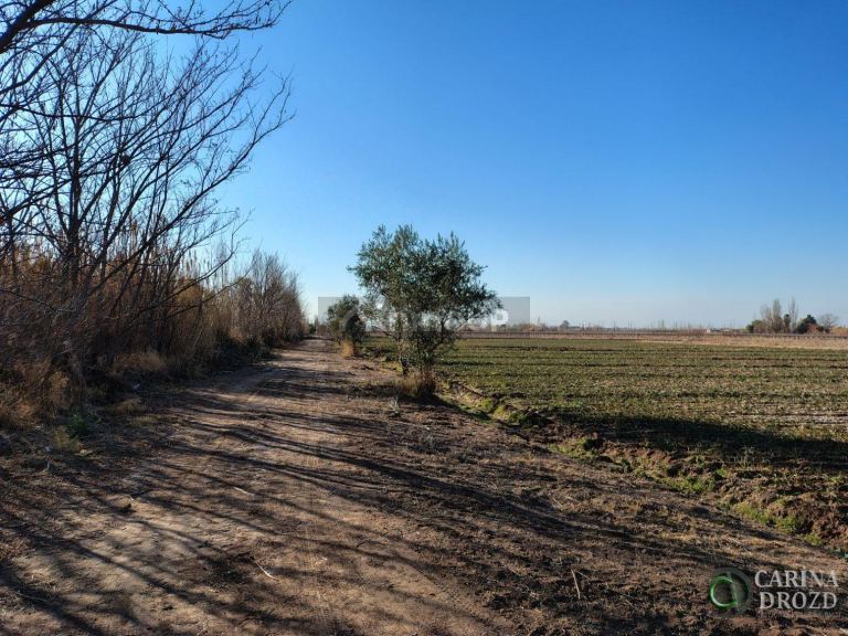 Finca en Venta en Maipu, Mendoza