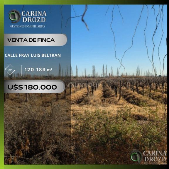 Finca en Venta en Maipu, Mendoza