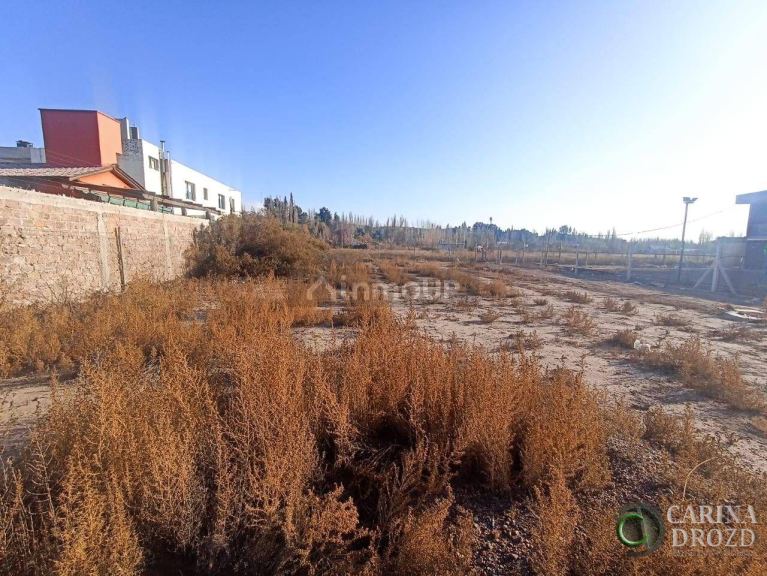 Terreno en Venta en Lujan de Cuyo, Mendoza