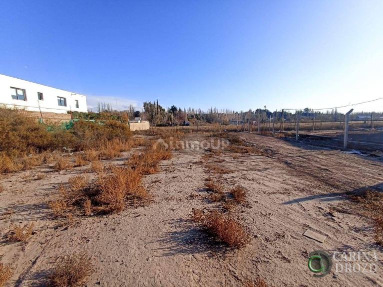 Terreno en Venta en Lujan de Cuyo, Mendoza