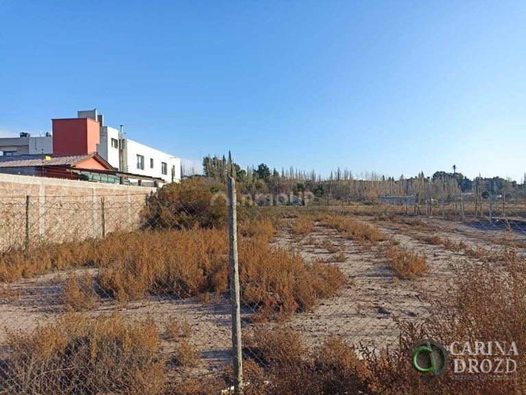 Terreno en Venta en Lujan de Cuyo, Mendoza