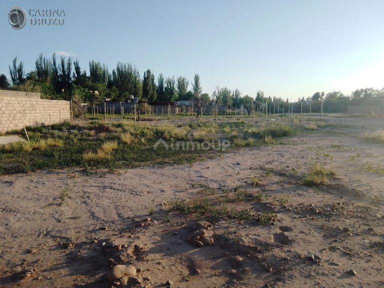 Terreno en Venta en Lujan de Cuyo, Mendoza