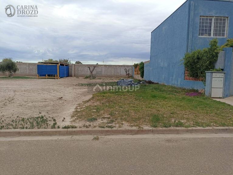 Terreno en Venta en Lujan de Cuyo, Mendoza