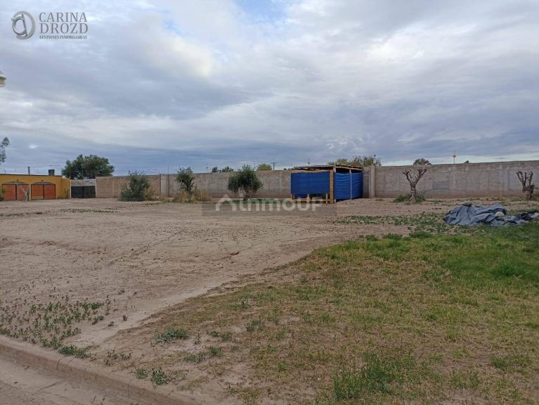 Terreno en Venta en Lujan de Cuyo, Mendoza