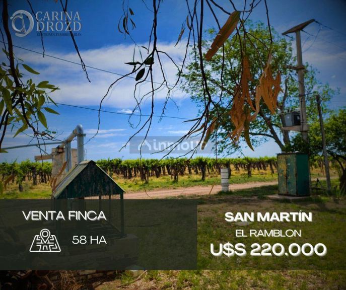 Finca en Venta en San Martin, Mendoza