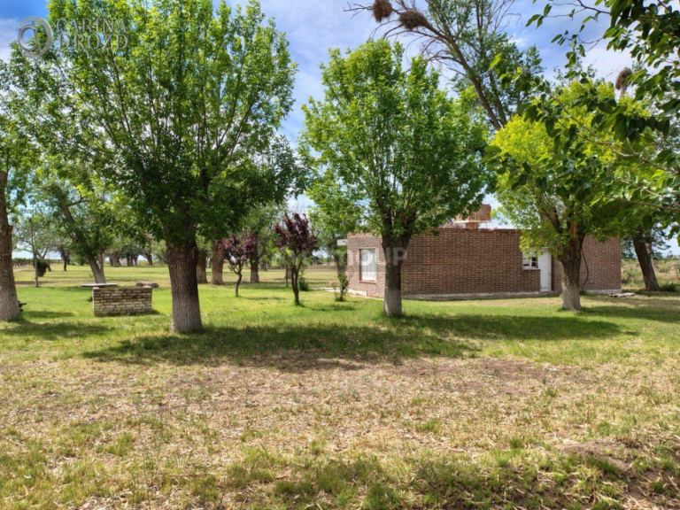 Finca en Venta en San Martin, Mendoza