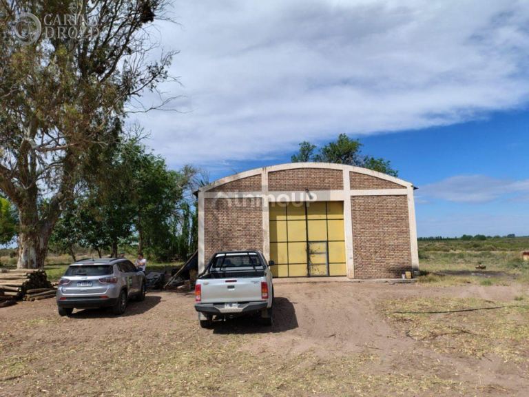 Finca en Venta en San Martin, Mendoza