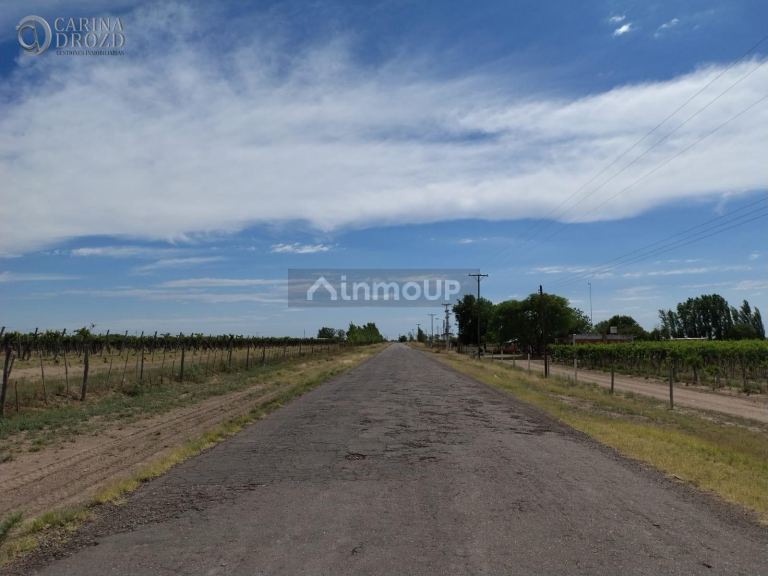 Finca en Venta en San Martin, Mendoza